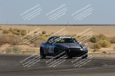 media/Oct-14-2023-Lucky Dog Racing (Sat) [[cef75db616]]/2nd Stint Turn 16/